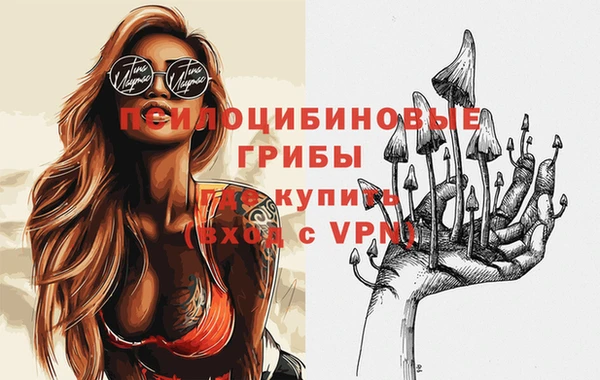 метадон Алексин
