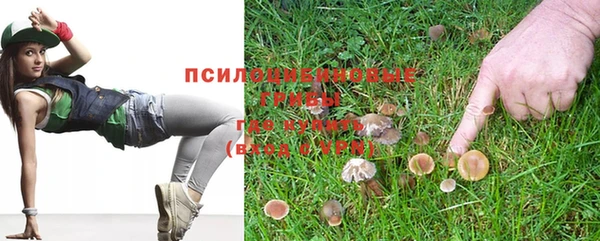 дурь Алексеевка