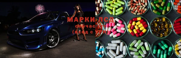 мяу мяу мука Надым