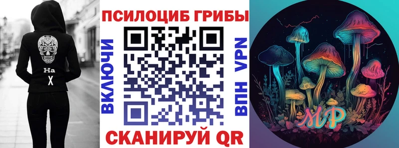 наркотики  Уржум  Галлюциногенные грибы Cubensis 