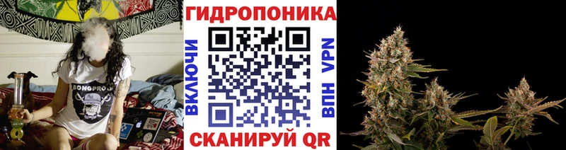 Бошки Шишки MAZAR  Уржум 